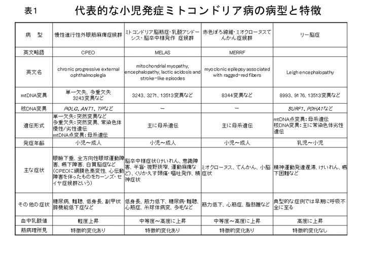 ミトコンドリア症と水素